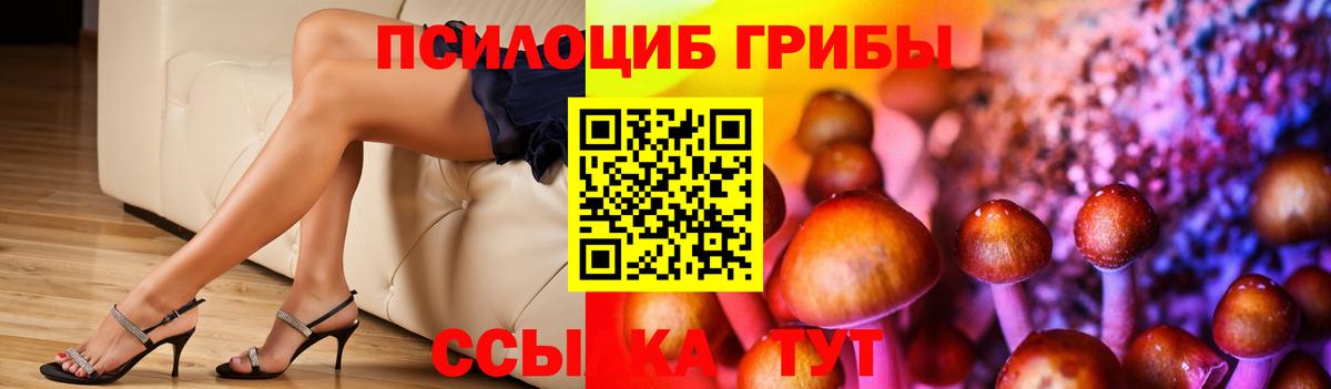 Псилоцибиновые грибы Psilocybe  Вход с VPN  Каспийск  Галлюциногенные грибы Psilocybe 