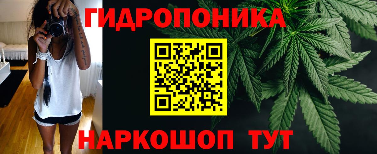 Каннабис VHQ  Каннабис семена  МАРИХУАНА марихуана  Каспийск  Вход с VPN  Канабис THC 21% 